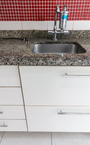 Apartamento à venda com 50m², 2 quartos e 1 vagaCozinha - pia e armários