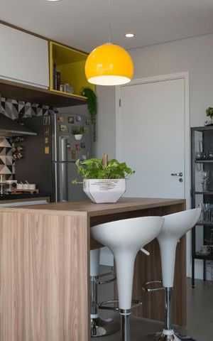 Studio para alugar com 30m², 1 quarto e 1 vagaStudio