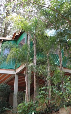 Apartamento à venda com 90m², 3 quartos e 1 vagachurrasqueira