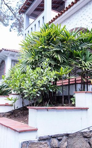 Casa à venda com 350m², 7 quartos e 8 vagas Casa à venda com 350m², 7 quartos e 8 vagasEntrada