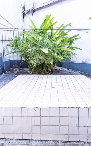 Casa à venda com 350m², 7 quartos e 8 vagas Casa à venda com 350m², 7 quartos e 8 vagasÁrea de Serviço