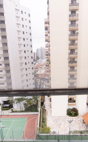 Apartamento à venda com 346m², 4 quartos e 4 vagas Apartamento à venda com 346m², 4 quartos e 4 vagasVista Cozinha