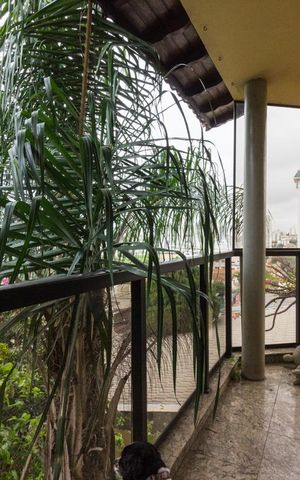 Casa para alugar com 545m², 5 quartos e 6 vagasVaranda