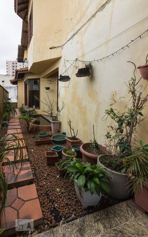 Casa para alugar com 545m², 5 quartos e 6 vagasCorredor Lateral