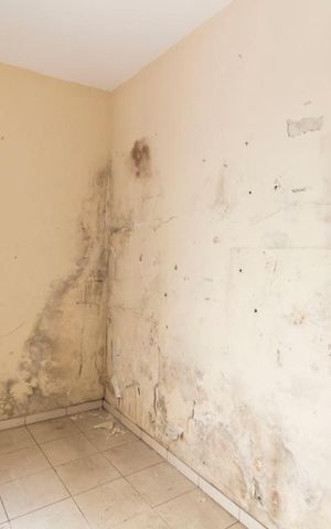 Casa à venda com 72m², 2 quartos e 1 vagaQuarto de Serviço