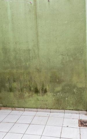 Casa de condomínio à venda com 135m², 3 quartos e 1 vaga Casa de condomínio à venda com 135m², 3 quartos e 1 vagaQuintal