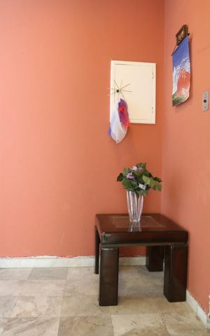 Studio para alugar com 32m², 1 quarto e sem vagaHall de Entrada