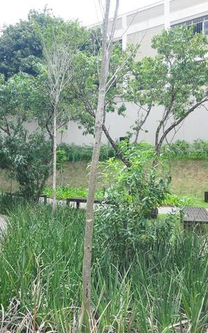 Apartamento à venda com 110m², 3 quartos e 2 vagasJardim