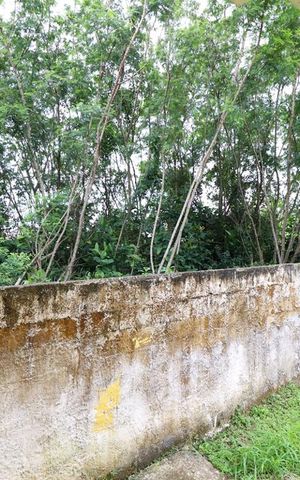 Casa à venda com 500m², 3 quartos e 4 vagasVista da Suíte