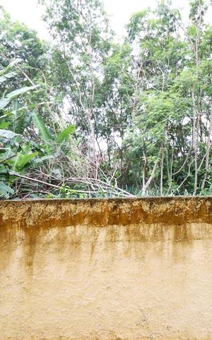 Casa à venda com 500m², 3 quartos e 4 vagasVista Quarto 1 e 2