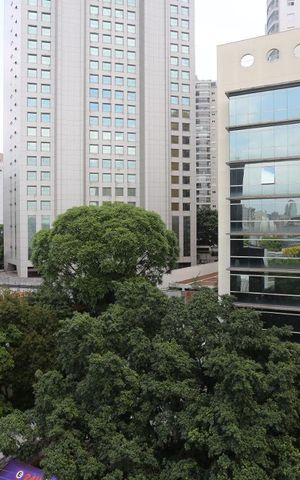 Apartamento para alugar com 72m², 2 quartos e sem vagaVista