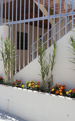Apartamento para alugar com 25m², 1 quarto e sem vagaFachada