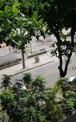 Apartamento para alugar com 120m², 3 quartos e 2 vagas Apartamento para alugar com 120m², 3 quartos e 2 vagasVista