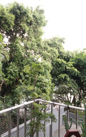 Apartamento para alugar com 120m², 3 quartos e 2 vagas Apartamento para alugar com 120m², 3 quartos e 2 vagasVaranda do Quarto