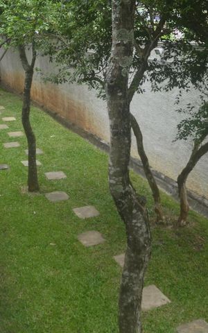 Apartamento à venda com 211m², 3 quartos e 3 vagasArea Verde