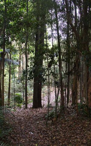 Apartamento à venda com 65m², 3 quartos e 1 vaga Apartamento à venda com 65m², 3 quartos e 1 vagaÁrea Comum - Bosque