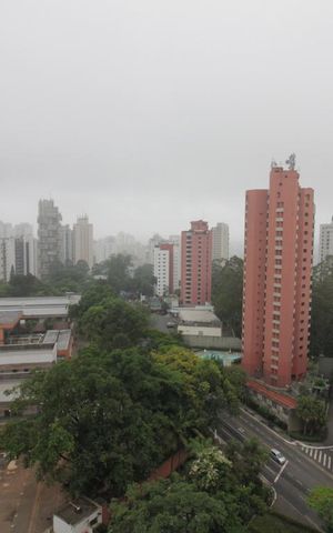 Apartamento à venda com 435m², 4 quartos e 3 vagasVista do quarto 1
