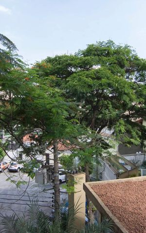 Apartamento para alugar com 55m², 2 quartos e 1 vagaVista Sacada