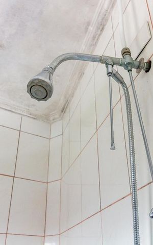 Casa à venda com 190m², 4 quartos e 3 vagasBanheiro quarto 3 suíte - chuveiro