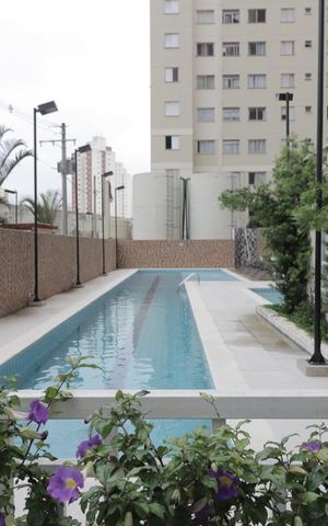 Apartamento para alugar com 65m², 2 quartos e 1 vagaÁrea comum - Piscina