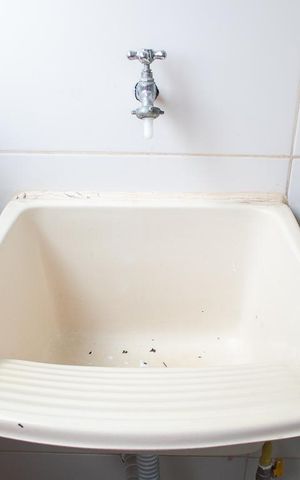 Apartamento para alugar com 60m², 2 quartos e 1 vaga Apartamento para alugar com 60m², 2 quartos e 1 vagaÁREA DE SERVIÇO
