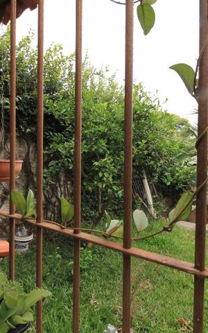 Casa de condomínio à venda com 250m², 6 quartos e 1 vagaVista Cozinha