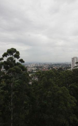 Apartamento à venda com 520m², 4 quartos e 4 vagasVista da varanda