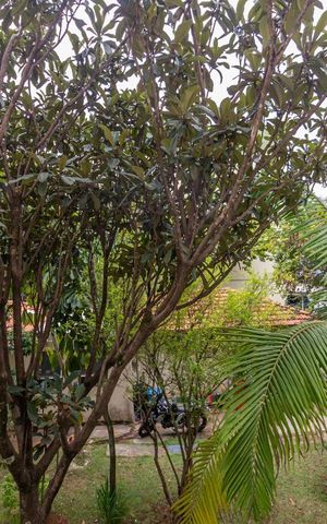 Apartamento à venda com 56m², 2 quartos e 1 vagaVista