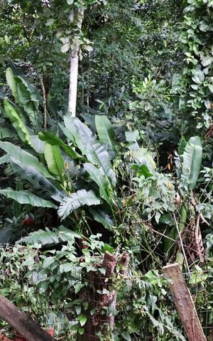 Casa de condomínio à venda com 105m², 3 quartos e sem vagaVista