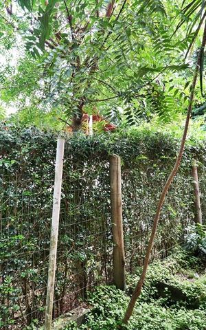 Casa de condomínio à venda com 105m², 3 quartos e sem vagaÁrea Externa