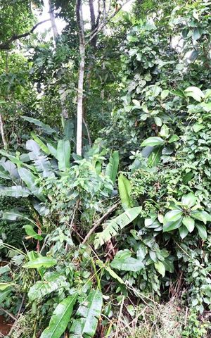 Casa de condomínio à venda com 105m², 3 quartos e sem vagaÁrea Externa