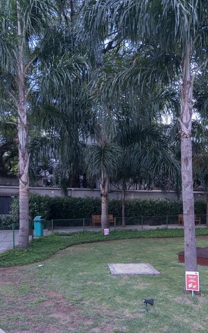 Apartamento à venda com 70m², 3 quartos e 1 vaga Apartamento à venda com 70m², 3 quartos e 1 vagaEspaço PET