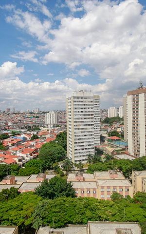 Apartamento para alugar com 48m², 2 quartos e 1 vaga Apartamento para alugar com 48m², 2 quartos e 1 vagaVista