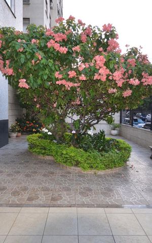 Apartamento para alugar com 85m², 2 quartos e sem vagaÁrea comum