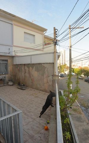 Casa para alugar com 120m², 2 quartos e 2 vagasArea Externa