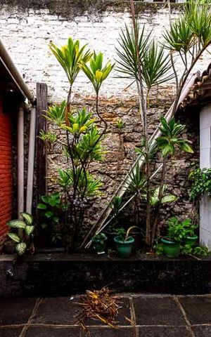 Casa à venda com 150m², 4 quartos e 1 vaga Casa à venda com 150m², 4 quartos e 1 vagaVista do Quarto 3