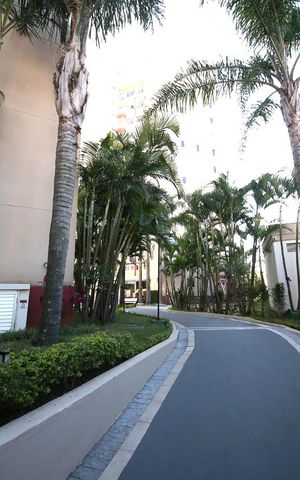 Apartamento à venda com 52m², 2 quartos e 1 vagaÁrea Comum