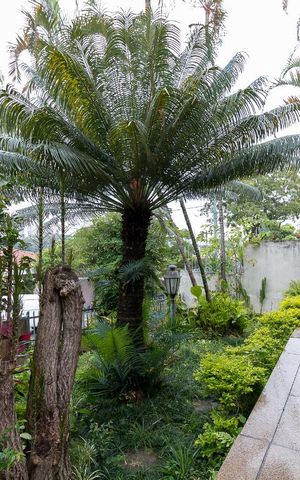 Casa à venda com 357m², 4 quartos e 4 vagasJardim