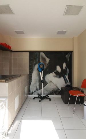 Apartamento à venda com 72m², 3 quartos e 1 vagaEspaço Pet