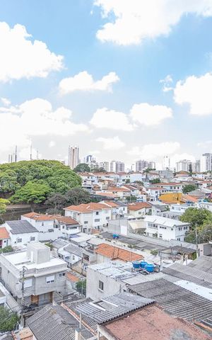 Casa à venda com 420m², 3 quartos e 8 vagasVista área de Serviço