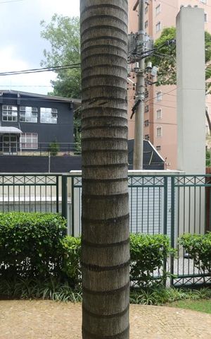 Apartamento para alugar com 74m², 3 quartos e 1 vagaVista do Quarto 1