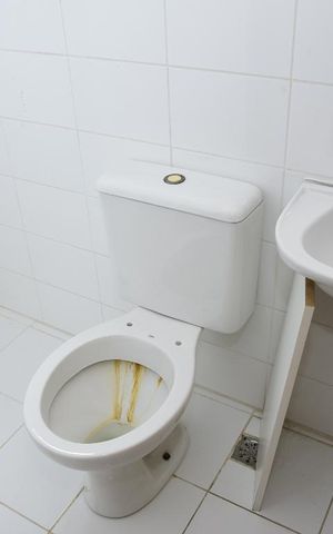 Casa de condomínio à venda com 115m², 3 quartos e 2 vagasBanheiro de Serviço