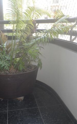 Apartamento à venda com 150m², 4 quartos e 2 vagasVaranda