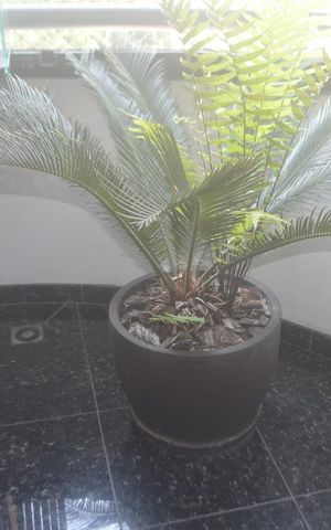 Apartamento à venda com 150m², 4 quartos e 2 vagasVaranda