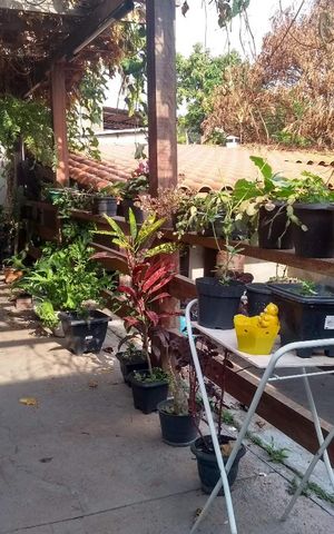 Casa para alugar com 200m², 5 quartos e 2 vagas