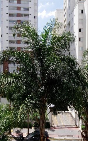 Apartamento à venda com 58m², 1 quarto e 1 vagaVista