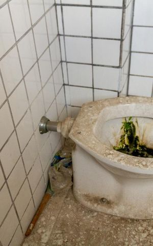 Apartamento à venda com 72m², 2 quartos e 1 vaga