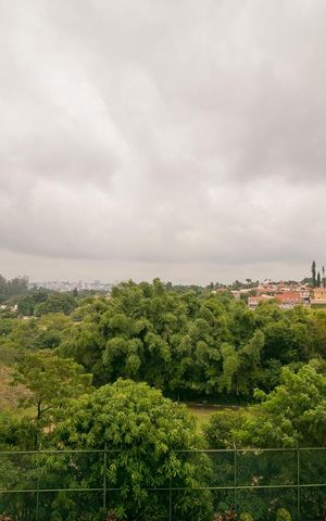 Apartamento para alugar com 140m², 4 quartos e 2 vagas Apartamento para alugar com 140m², 4 quartos e 2 vagasvista da Sacada