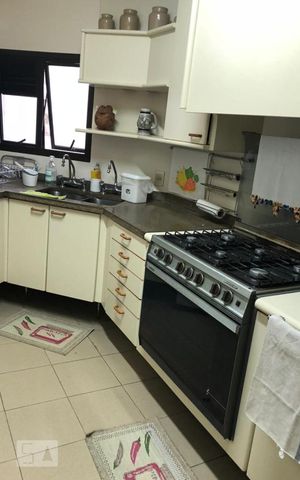 Apartamento à venda com 330m², 4 quartos e 4 vagasCozinha
