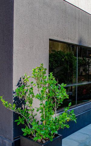 Studio à venda com 69m², 1 quarto e 2 vagasÁrea comum